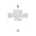 Uitatul in Cetate - Florin Biciusca