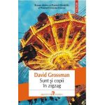 Sunt si copii in zigzag - David Grossman