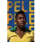 Pele. Regele fotbalului - Alain Fontan
