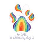 Felicitare curcubeu: Seria Paw Print. Home is where my dog is