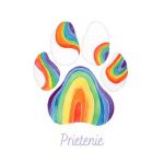 Felicitare curcubeu: Seria Paw Print. Prietenie