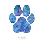 Felicitare galaxie: Seria Paw Print. Acasa