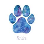 Felicitare galaxie: Seria Paw Print. Fericire