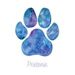 Felicitare galaxie: Seria Paw Print. Prietenie