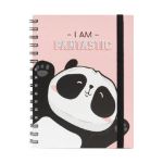 Agenda: Panda