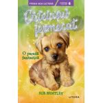 Catelusul fermecat. O parada fantastica - Sue Bentley