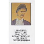 Acatistul fericitului Ioan David de la Strungari, cel nebun pentru Hristos