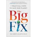The Big Fix: Seven Practical Steps to Save Our Planet - Hal Harvey