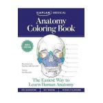 Anatomy Coloring Book - Stephanie Mccann