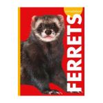 Curious about Ferrets - Alissa Thielges