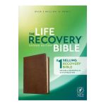 NLT Life Recovery Bible, Second Edition (Leatherlike, Rustic Brown) - Stephen Arterburn