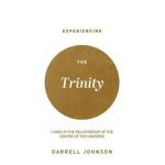 Experiencing the Trinity: Living in the Relationship at the Centre of the Universe - Darrell W. Johnson