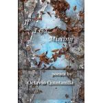 If I Go Missing - Octavio Quintanilla