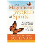 The Magnificient World of Spirits: Eyewitness Accounts of Where We Go When We Die - Marlene Bateman Sullivan