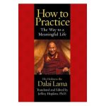 How to Practice: The Way to a Meaningful Life - Dalai Lama