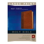 Slimline Center Column Reference Bible-NLT-Large Print - Tyndale