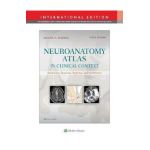 Neuroanatomy Atlas in Clinical Context