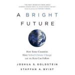 A Bright Future: How Some Countries Have Solved Climate Change and the Rest Can Follow - Joshua S. Goldstein