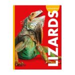 Curious about Lizards - Alissa Thielges