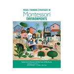 Visual Thinking Strategies in Montessori Environments - Philip Yenawine