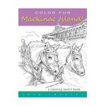 COLOR FUN - Mackinac Island! A coloring sketch book.: Color all of Mackinac Island's famous treasures, sights and unique things that it has to offer. - Cher Charest