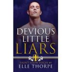Devious Little Liars: A High School Bully Romance - Elle Thorpe