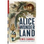Alice in Wonderland (Illustrated): Alice's Adventures in Wonderland, Through the Looking-Glass, and The Hunting of the Snark - Lewis Carroll