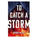 To Catch a Storm - Mindy Mejia