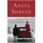 Light on Snow - Anita Shreve