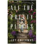 All the Pretty Places: A Novel of the Gilded Age - Joy Callaway