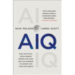 Aiq: How Artificial Intelligence Works and How We Can Harness Its Power for a Better World - Nick Polson