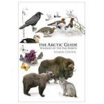 Arctic Guide