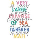 A Very Large Expanse of Sea - Tahereh Mafi