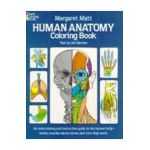 Human Anatomy