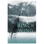 Black Wing - David Campiche
