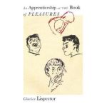 An Apprenticeship or the Book of Pleasures - Clarice Lispector