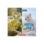 Fennec Fox or Arctic Fox (Hot and Cold Animals) - Marilyn Easton