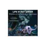 Life in Hot Water: Wildlife at the Bottom of the Ocean - Mary Batten