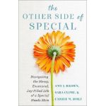 The Other Side of Special: Navigating the Messy, Emotional, Joy-Filled Life of a Special Needs Mom - Amy J. Brown