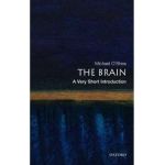 Brain: A Very Short Introduction