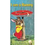 LGB I Am A Bunny