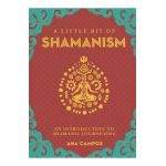 Little Bit of Shamanism, A
