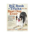 Big Book of Tricks for the Best Dog Ever