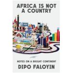 Africa Is Not a Country: Notes on a Bright Continent - Dipo Faloyin