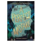 A Perfect Mistake - Melanie Conklin