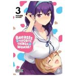 Breasts Are My Favorite Things in the World!, Vol. 3 - Wakame Konbu