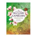 Little Book of Self-Care for Capricorn