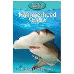 Hammerhead Sharks - Victoria Blakemore