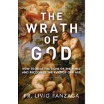 The Wrath of God: How to Read the Signs of the Times and Recognize the Evils of Our Age - Livio Fanzaga