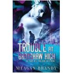 Trouble at Brayshaw High - Meagan Brandy